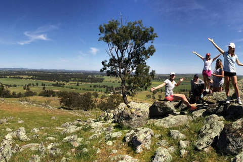 Belisi Farmstay Cottage - Tourism Caloundra 32