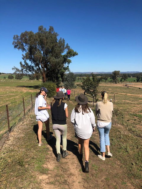 Belisi Farmstay Cottage - Tourism Caloundra 7