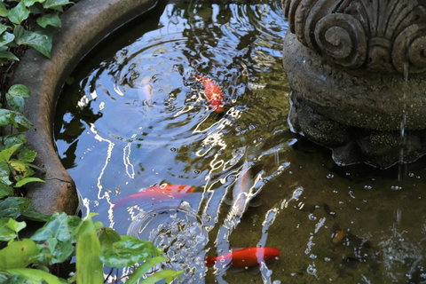 Manor Boutique Hotel Sydney - Tourism Caloundra 25