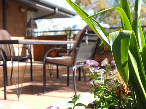 Wilmots On Dixon - Tourism Caloundra 15