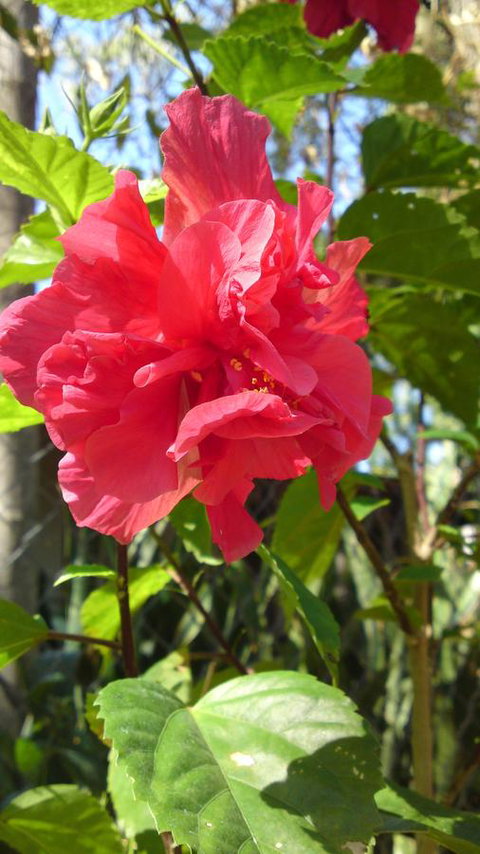 Darwin Beach Escape Holiday Home - Tourism Caloundra 24