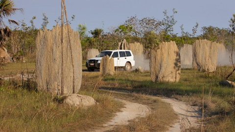 Darwin Beach Escape Holiday Home - Tourism Caloundra 40
