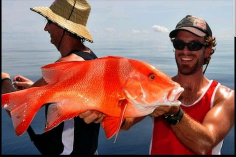 Darwin Beach Escape Holiday Home - Tourism Caloundra 39