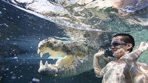 Darwin Beach Escape Holiday Home - Tourism Caloundra 33