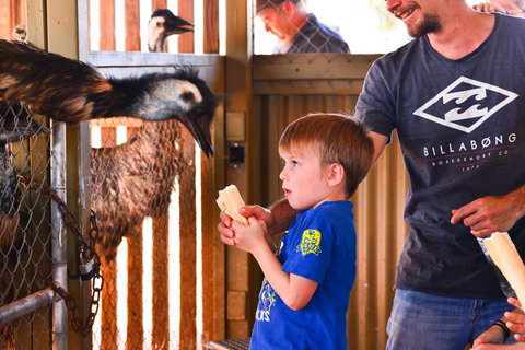 Erldunda Desert Oaks Resort - Tourism Caloundra 13