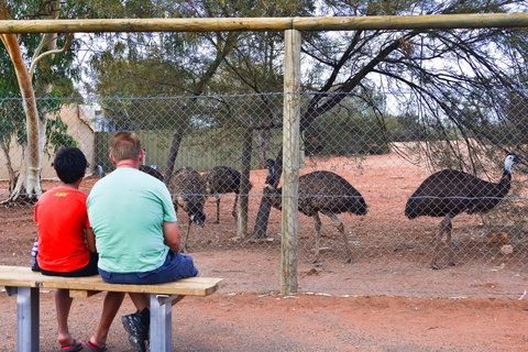 Erldunda Desert Oaks Resort - Tourism Caloundra 21