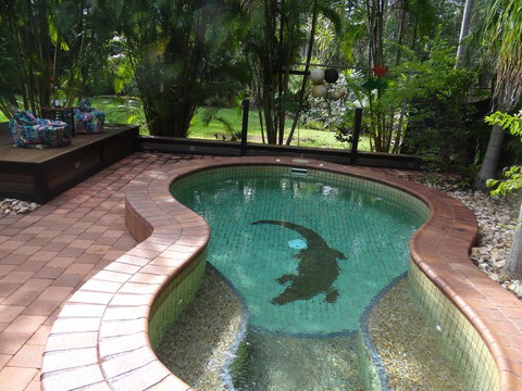 DARWIN'S SHADY ACRES RETREAT - Tourism Caloundra 13