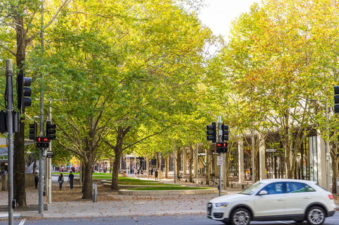 Highgate Executive Apartment City Walk Canberra - Tourism Caloundra 37