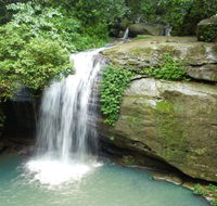 Buderim Forest Hideaway - Tourism Caloundra