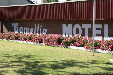 Camellia Motel - Tourism Caloundra 2