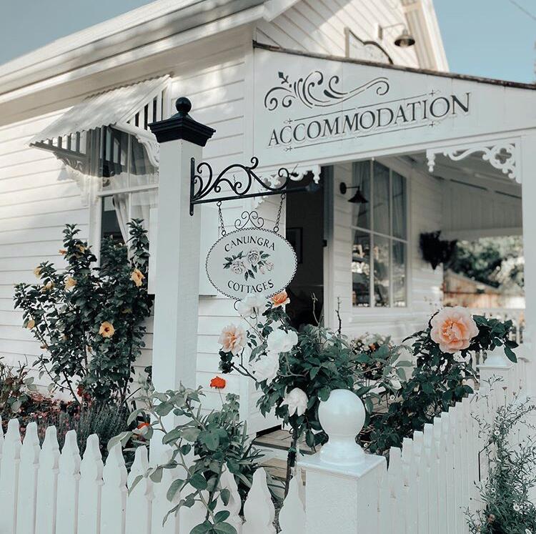 Flying Fox QLD Tourism Caloundra