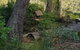 Canyon Cottage - thumb 3