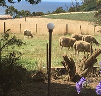 Cape View B and B - Tourism Caloundra