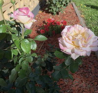 Central Tranquility - Tourism Caloundra