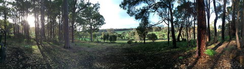 Chandeliers On Abbey - Tourism Caloundra 1