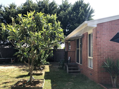 Charlie Sweet Home At Mornington Peninsula - Tourism Caloundra 1
