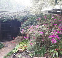 Charming country house close to Grafton - Tourism Caloundra