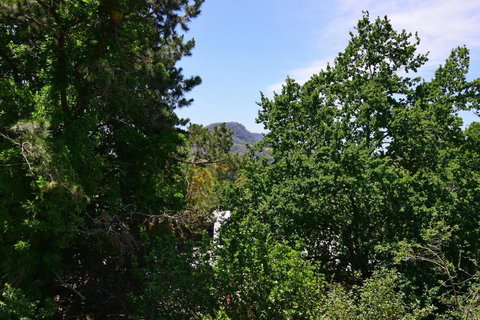 Cloudsong Chalet 4 - Close To The Village Centre! - Tourism Caloundra 3