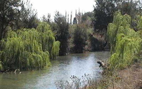 Colonial Inn Motel - Tourism Caloundra 3