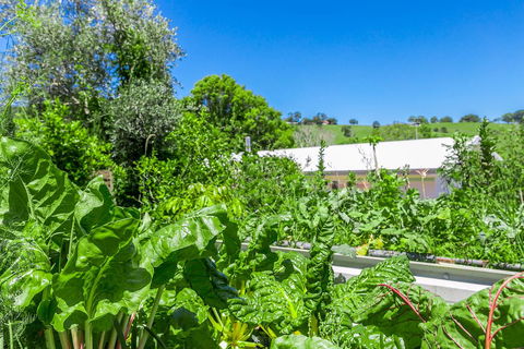 Coorabell Cottages - Tourism Caloundra 3