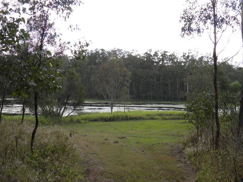Coucals Cottage - Tourism Caloundra 2