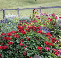 Country Mile Escape - Tourism Caloundra