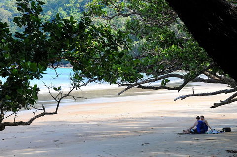 Cow Bay Homestay B&B - Tourism Caloundra 1