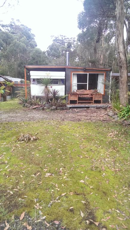 Crayfish Creek Van & Cabin Park - Tourism Caloundra 3