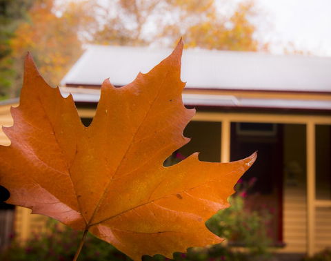Creek Cottage - Tourism Caloundra 3