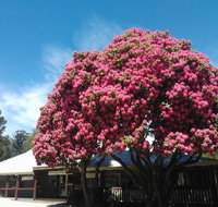 Crossways Country Inn - Tourism Caloundra