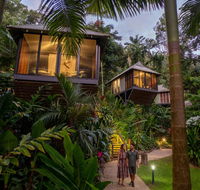 Daintree Ecolodge - Tourism Caloundra