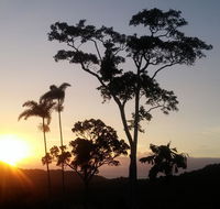 Daintree Holiday Homes - Yurara - Tourism Caloundra