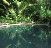 Daintree Rainforest Retreat Motel - Tourism Caloundra