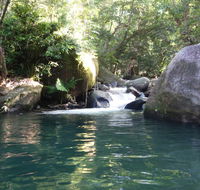 Daintree Secrets Rainforest Sanctuary - Tourism Caloundra
