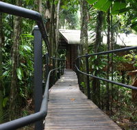 Daintree Wilderness Lodge - Tourism Caloundra