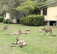 Depot Beach Cabins - Tourism Caloundra
