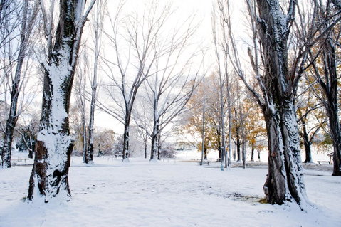 Discovery Parks - Jindabyne - Tourism Caloundra 3