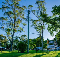 Dorrigo Mountain Holiday Park - Tourism Caloundra