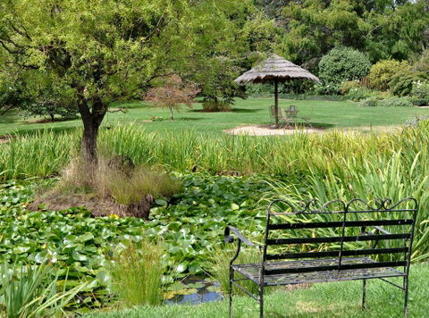 Drayshed Cottage - Tourism Caloundra 2