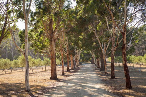East Wing - Tourism Caloundra 2