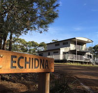 Echidna on Bruny - Tourism Caloundra