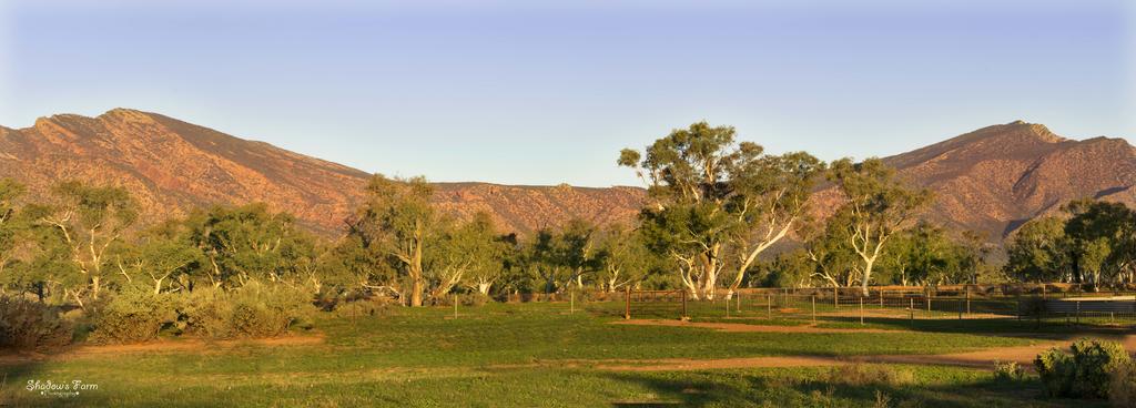 Flinders Ranges SA Tourism Caloundra