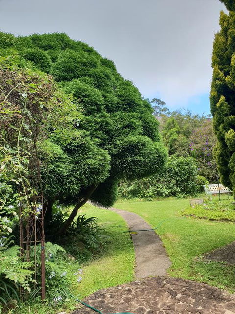 English Gardens - Forest Spa Suite - Tourism Caloundra 0
