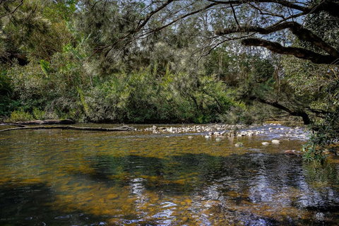 Equanimity - Beautiful Character Filled House! - Tourism Caloundra 3