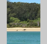 FAIRVIEW COTTAGE 25B - Waterfront accommodation - Tourism Caloundra