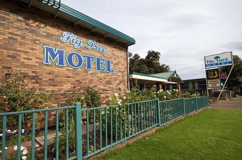Fig Tree Motel - Tourism Caloundra 2