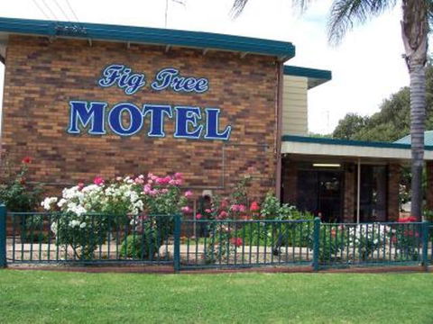 Fig Tree Motel - Tourism Caloundra 1