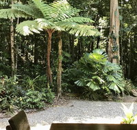 Forest Views Daintree - Tourism Caloundra