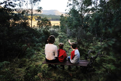 Forest Walks Lodge - Tourism Caloundra 3