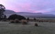 Forest Walks Lodge - thumb 1